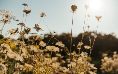 Ansiedade e depressão: entenda a relação entre os dois transtornos